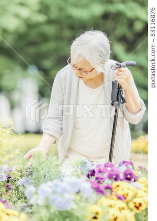Elderly woman in a flower field 83116876