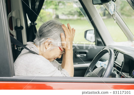開車的老婦人 開車的老婦人 83117101