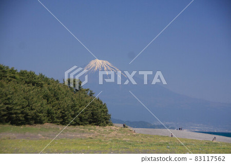 從美穗之松原看富士山 從美穗之松原看富士山 83117562