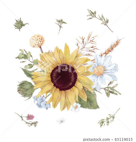 Set of cute sunflowers flowers branches and leaves. Watercolor illustration 83119015