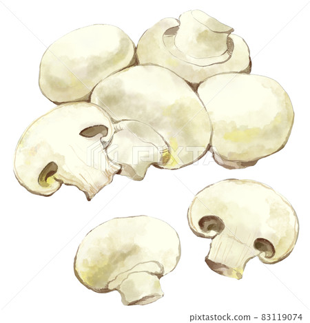 White mushroom watercolor style set 83119074