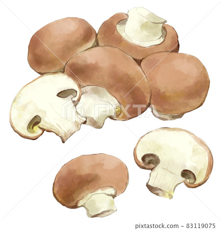 棕色蘑菇水彩風格集 棕色蘑菇水彩風格集 83119075
