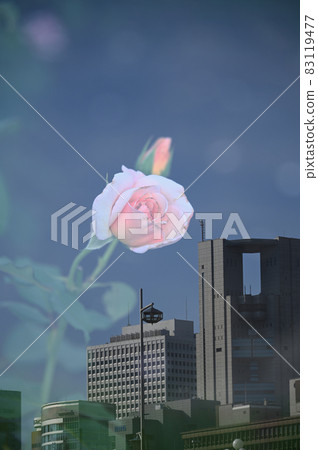 Skyscrapers and roses Skyscrapers and roses 83119477