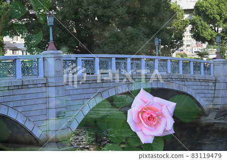 中之島公園的玫瑰 中之島公園的玫瑰 83119479