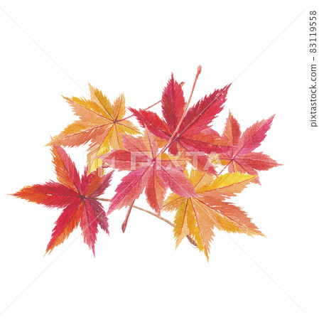 6 autumn leaves 83119558