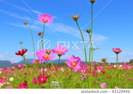 宇宙場藍天白雲 83120448