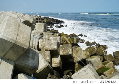 Coast Tetrapod 83120488