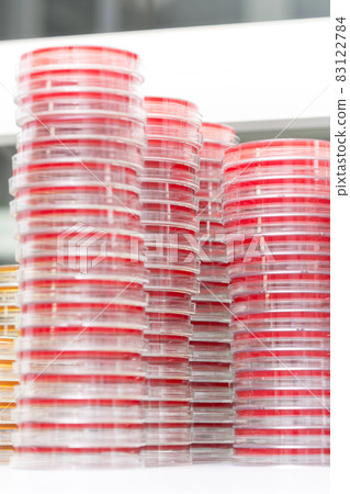 Petry dishes on laboratory table 83122784