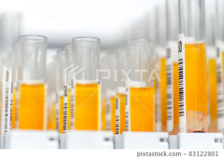 Laboratory glass test tubes filled with orange liquid for an experiment in a science research lab 83122801