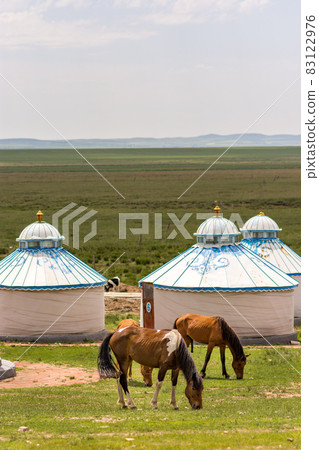Horses grazing next to the yurt tents in steppes of Inner Mongolia, China 83122976