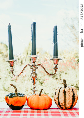 Different kinds of pumpkins with candles outdoors Different kinds of pumpkins with candles outdoors 83123058