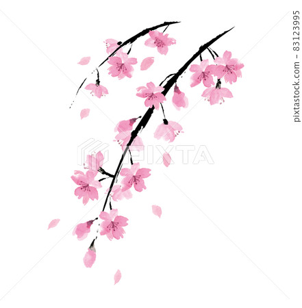 Weeping cherry blossom sumi-e vector illustration Weeping cherry blossom sumi-e vector illustration 83123995