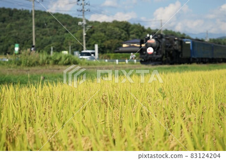 在JR釜石線稻田奔跑的SL Ginga 83124204