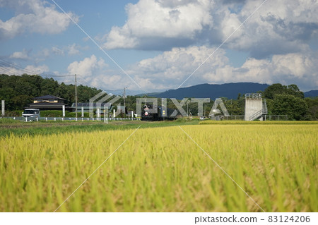 SL Ginga running in the paddy field on the JR Kamaishi Line 83124206