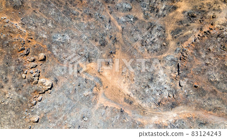 Aerial drone view of the consequences of fires in Greece Aerial drone view of the consequences of fires in Greece 83124243