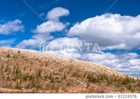 《Nagano Prefecture》 Kusatsu-Shirane Mountain / Autumn 83124376
