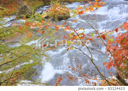 Ryuzu Falls and colorful autumn leaves that get wet in the autumn rain Ryuzu Falls and colorful autumn leaves that get wet in the autumn rain 83124423
