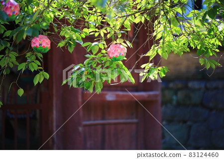 Autumn Temple, Magoksa Temple Autumn Temple, Magoksa Temple 83124460