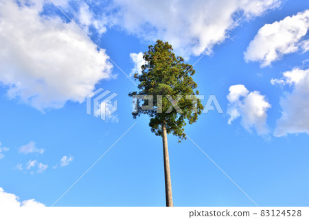福岡縣朝倉市 Ipponsugi Amagimizu 文化村 福岡縣朝倉市 Ipponsugi Amagimizu 文化村 83124528