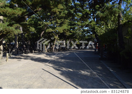 Nishinomiya Shrine Nishinomiya Shrine 83124878