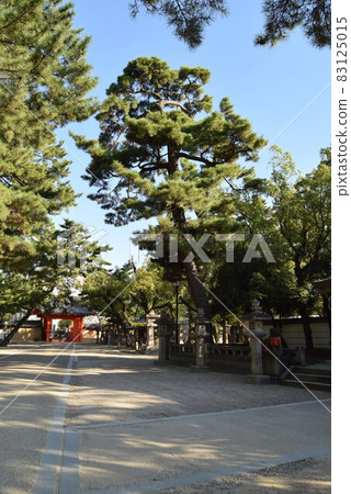 Nishinomiya Shrine Nishinomiya Shrine 83125015