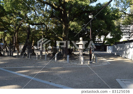 Nishinomiya Shrine Nishinomiya Shrine 83125036