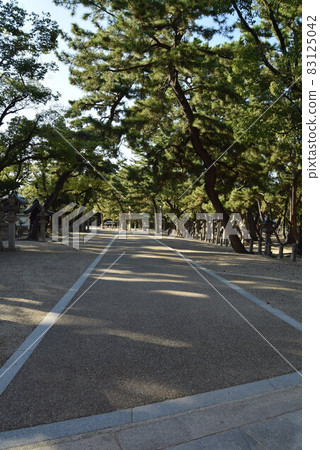 Nishinomiya Shrine Nishinomiya Shrine 83125042