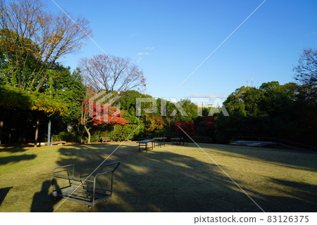 Autumn swan garden landscape Autumn swan garden landscape 83126375