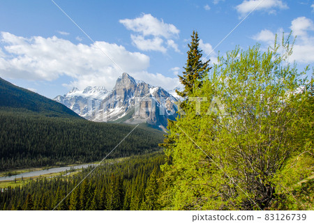 Spring Canadian Rockies Banff National Park Mountains and fresh greenery around Moraine Lake in the morning (Canada) Spring Canadian Rockies Banff National Park Mountains and fresh greenery around Moraine Lake in the morning (Canada) 83126739