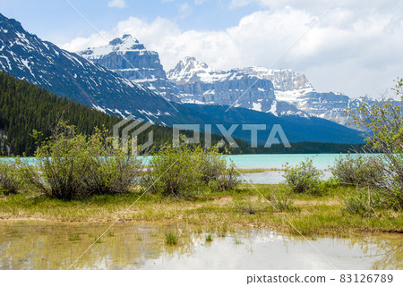 Spring Canadian Rockies Banff National Park Waterfowl Lake (Canada) Spring Canadian Rockies Banff National Park Waterfowl Lake (Canada) 83126789