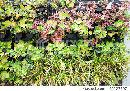 城市綠化-全球變暖對策圖 83127707