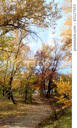 Colors of autumn - trees against the sky, orange, yellow, red, blue 83127933