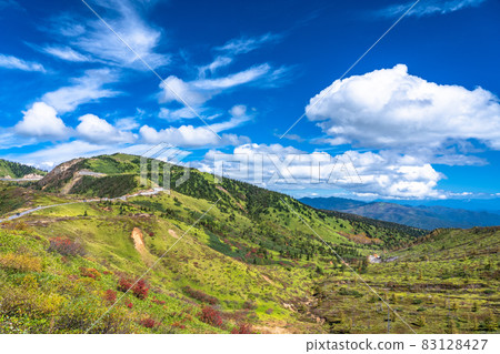 《Gunma Prefecture》 Shiga Kusatsu Road / Winding Road 83128427