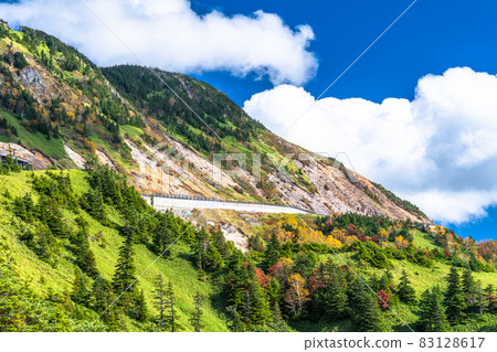 《Nagano Prefecture》 Shiga Kusatsu Road / Shiga Kogen Winding Road 《Nagano Prefecture》 Shiga Kusatsu Road / Shiga Kogen Winding Road 83128617