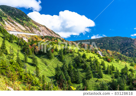 《Nagano Prefecture》 Shiga Kusatsu Road / Shiga Kogen Winding Road 《Nagano Prefecture》 Shiga Kusatsu Road / Shiga Kogen Winding Road 83128618