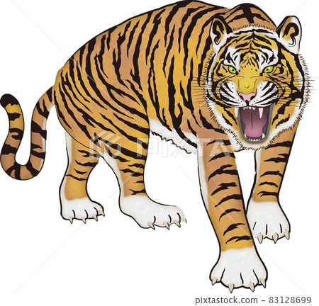 Tiger illustration 15 83128699