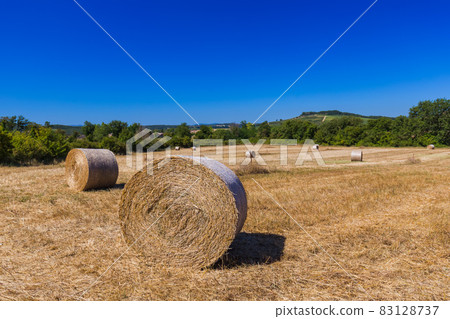 Hay Bales on a field in the Tuscany Italy 83128737