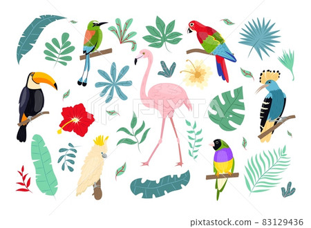 Set of isolated jungle animals and tropical plants