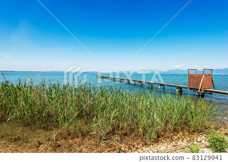 Coast of Lake Garda with Green Reeds and a Wooden Pier - Veneto Italy Coast of Lake Garda with Green Reeds and a Wooden Pier - Veneto Italy 83129941