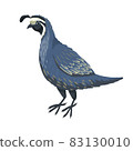 Quail, male bird with a tufted head, cute gray-blue bird. Vector cartoon character, funny character 83130010