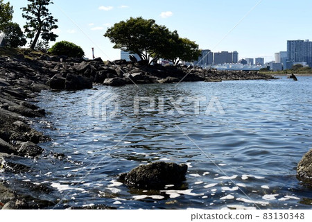 台場的人工岩石海岸 台場的人工岩石海岸 83130348