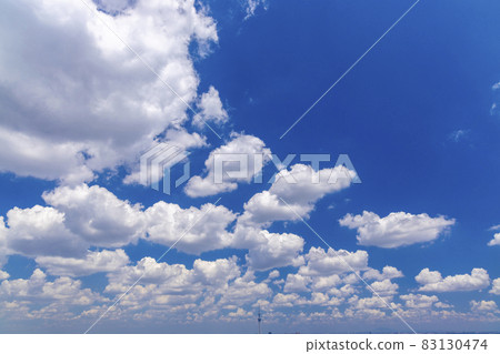 Blue sky and clouds Sky Tree 83130474