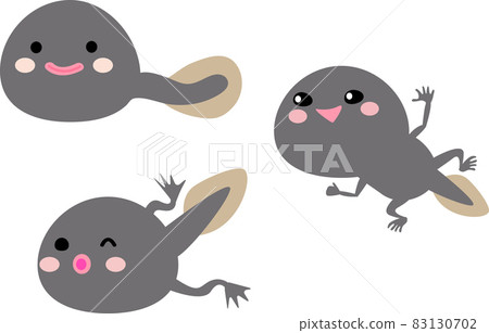 蝌蚪的成長 蝌蚪的成長 83130702