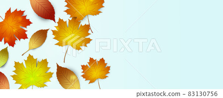 autumn leaves color banner autumn leaves color banner 83130756