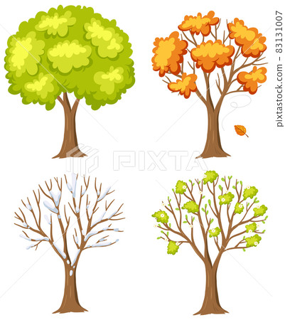Set of tree in different season Set of tree in different season 83131007