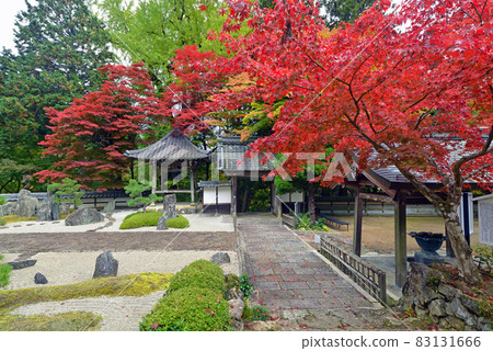 [Autumn leaves of Choanji Temple in Fukuchiyama, Kyoto] Autumn landscape 83131666
