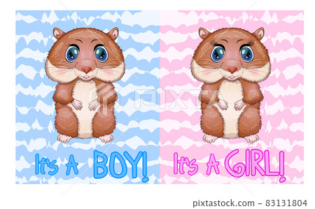 Baby birthday card, boy or girl, brown hamster with bright eyes or guinea pig. baby shower hamster 83131804