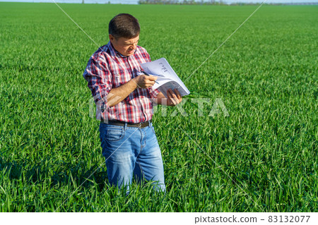 a man as a farmer poses in a field, dressed in a plaid shirt and jeans, checks reports and inspects young sprouts crops of wheat, barley or rye, or other cereals, a concept of agriculture and agronomy a man as a farmer poses in a field, dressed in a plaid shirt and jeans, checks reports and inspects young sprouts crops of wheat, barley or rye, or other cereals, a concept of agriculture and agronomy 83132077