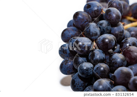Bunches of dark grapes isolated on white background Bunches of dark grapes isolated on white background 83132654