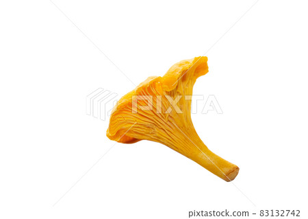 Bright orange chanterelle mushrooms on a white background. One chanterelle mushroom isolated on white background 83132742